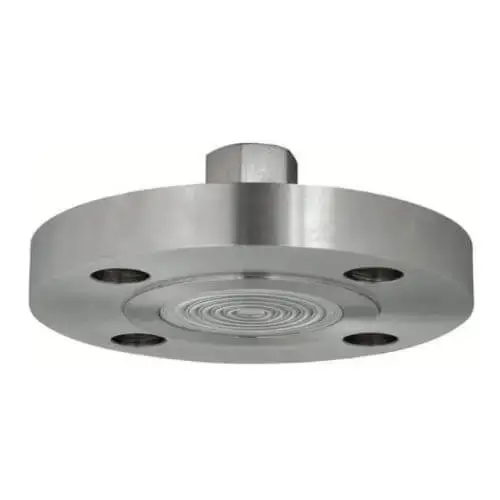 Series 7200DS - FFT Model Diaphragm Seal Direct Flanged Flushed Type